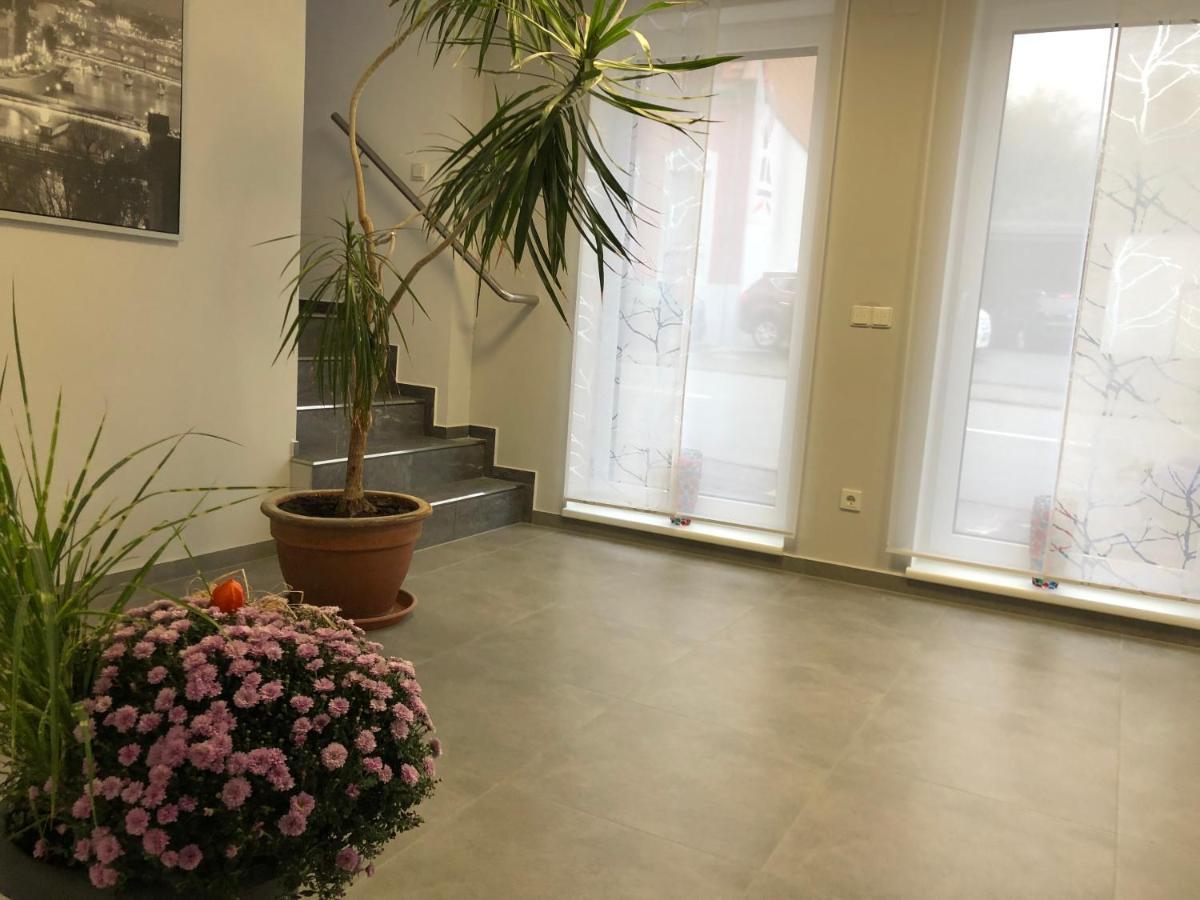 فندق Gaestehaus Residenz Aurora Friedrichsthal المظهر الخارجي الصورة